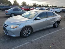 Salvage cars for sale at Van Nuys, CA auction: 2015 Toyota Camry Hybrid