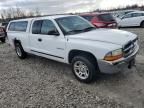 2001 Dodge Dakota