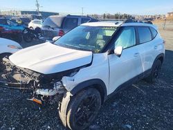 Salvage cars for sale at Elmsdale, NS auction: 2025 KIA Seltos SX