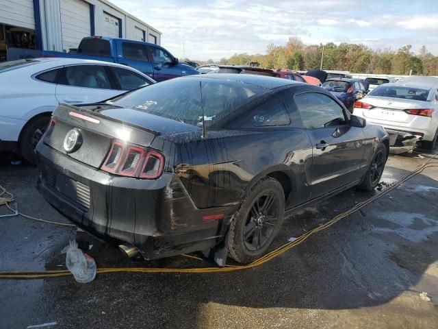 2013 Ford Mustang