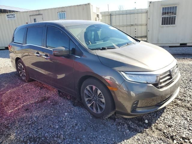 2021 Honda Odyssey EXL