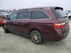 2011 Honda Odyssey EXL