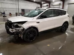 Salvage cars for sale at Avon, MN auction: 2017 Ford Escape SE