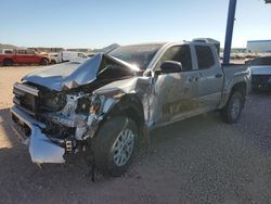 Salvage cars for sale at Phoenix, AZ auction: 2024 Toyota Tacoma Double Cab