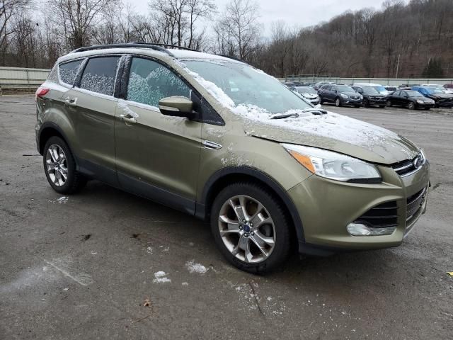 2013 Ford Escape SEL