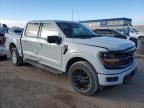 2024 Ford F150 XLT