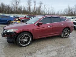 2010 Honda Accord Crosstour EXL en venta en Leroy, NY