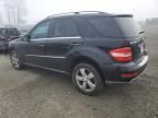 2010 Mercedes-Benz ML 350 4matic