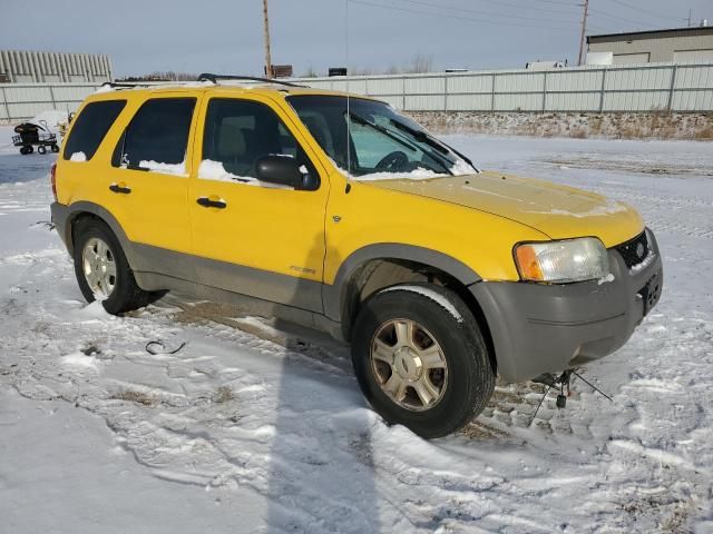 2002 Ford Escape XLT