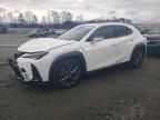 2019 Lexus UX 200