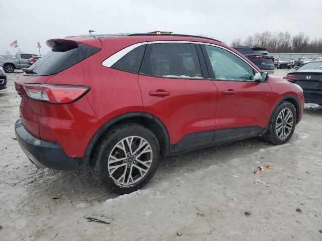 2021 Ford Escape SEL