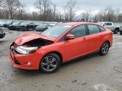 Salvage cars for sale from Copart Ellwood City, PA: 2014 Ford Focus SE