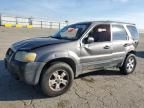 2005 Ford Escape XLT