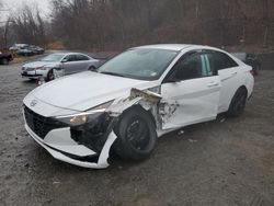 Hyundai salvage cars for sale: 2023 Hyundai Elantra Blue