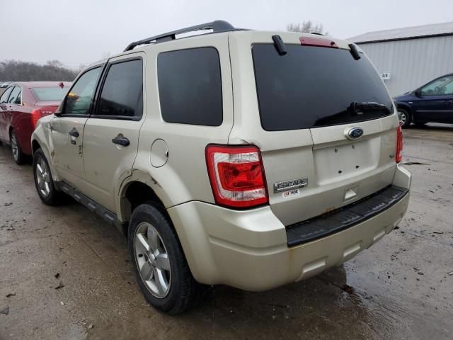 2010 Ford Escape XLT