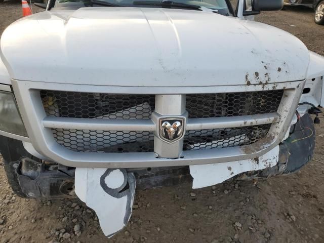 2010 Dodge Dakota SXT