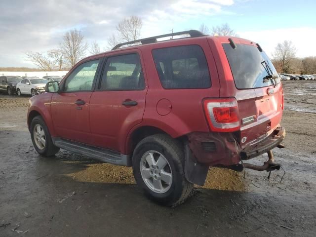 2011 Ford Escape XLT