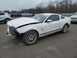 Salvage cars for sale at Ellwood City, PA auction: 2012 Ford Mustang