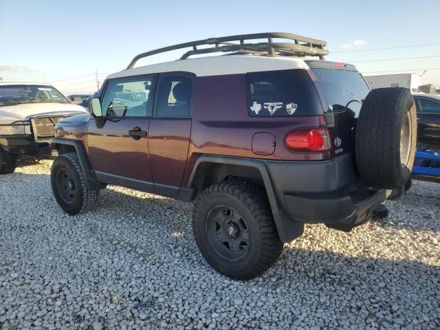 2007 Toyota FJ Cruiser