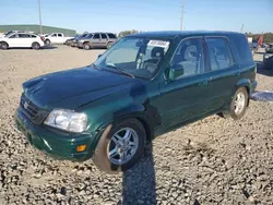 Salvage SUVs for sale at auction: 1999 Honda CR-V EX