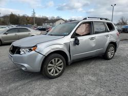 Salvage cars for sale at York Haven, PA auction: 2013 Subaru Forester 2.5X Premium