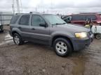 2005 Ford Escape XLT