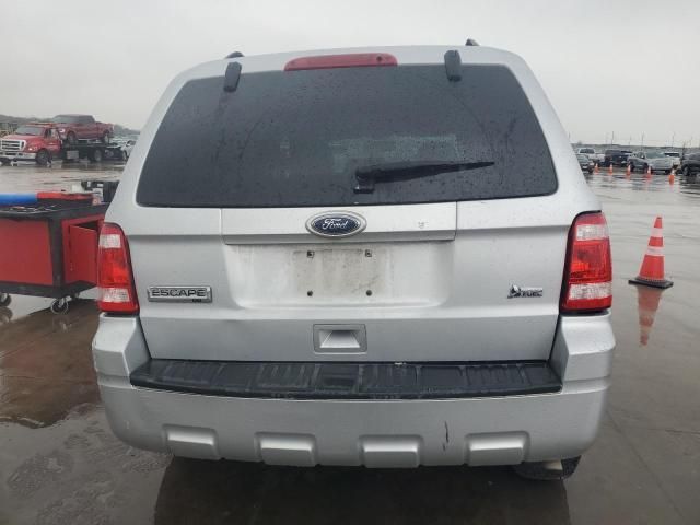 2010 Ford Escape XLT