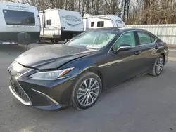 Salvage cars for sale at Glassboro, NJ auction: 2020 Lexus ES 350