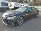 2020 Lexus ES 350