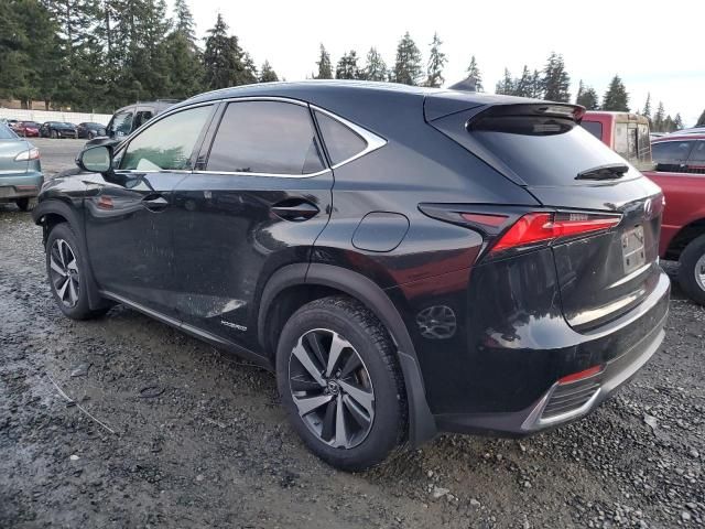 2018 Lexus NX 300H