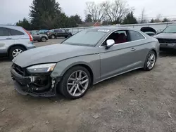 Salvage cars for sale at Finksburg, MD auction: 2020 Audi S5 Premium Plus