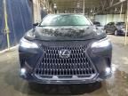 2023 Lexus NX 350