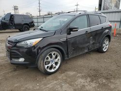 Salvage cars for sale from Copart Dyer, IN: 2013 Ford Escape Titanium