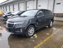 Chevrolet salvage cars for sale: 2023 Chevrolet Equinox LT