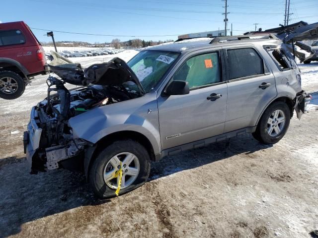 2008 Ford Escape HEV