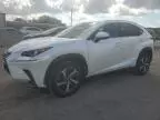 2019 Lexus NX 300 Base