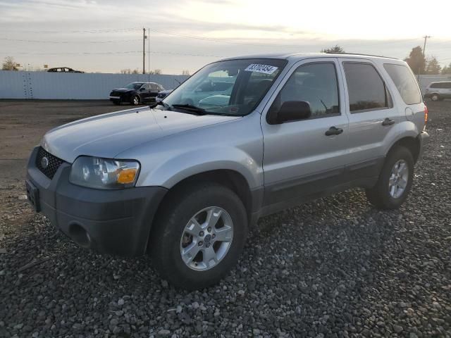 2007 Ford Escape XLT