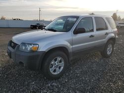 Vehiculos salvage en venta de Copart Portland, OR: 2007 Ford Escape XLT