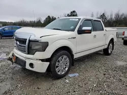 Salvage trucks for sale at Memphis, TN auction: 2009 Ford F150 Supercrew