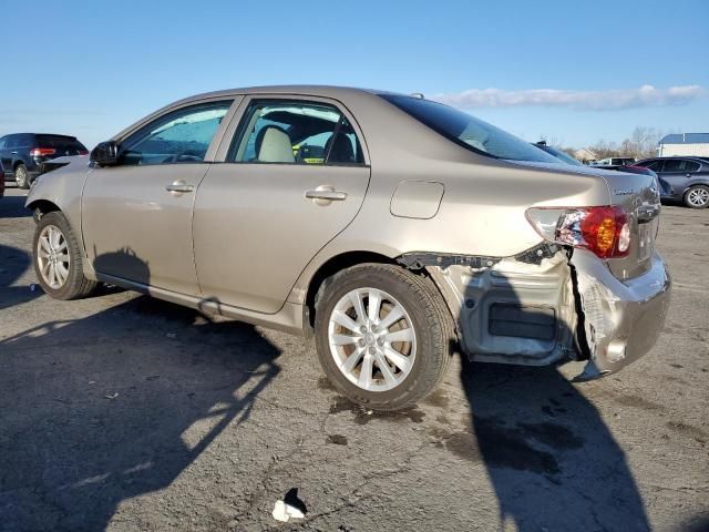 2009 Toyota Corolla Base