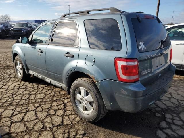 2010 Ford Escape XLT