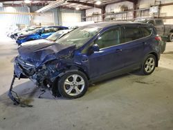 Salvage cars for sale from Copart Eldridge, IA: 2014 Ford Escape SE