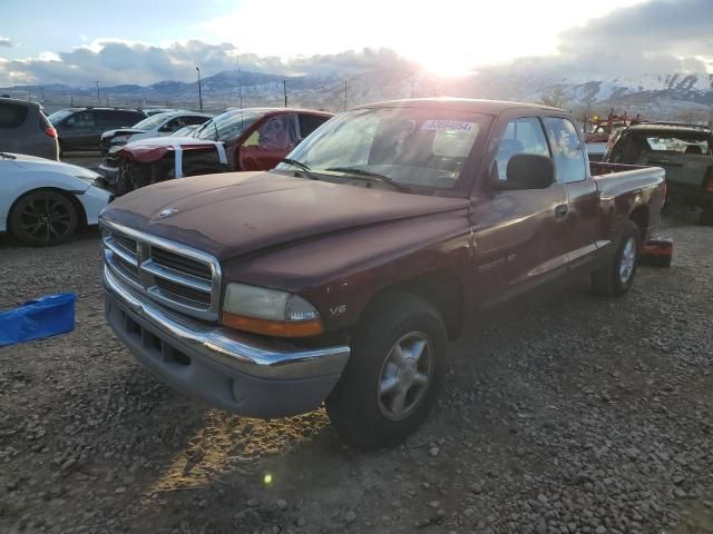 2000 Dodge Dakota