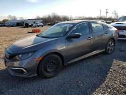 Honda Civic lx salvage cars for sale: 2019 Honda Civic LX