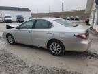 2004 Lexus ES 330