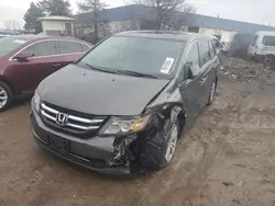 Salvage cars for sale at Woodhaven, MI auction: 2014 Honda Odyssey EXL