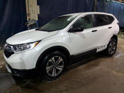 Rental Vehicles for sale at auction: 2019 Honda CR-V LX