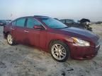 2011 Nissan Maxima S