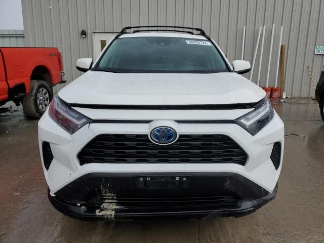 2024 Toyota Rav4 XLE