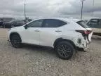 2024 Lexus NX 250 Premium